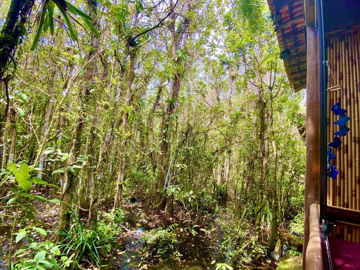 Maresias, Chale H29 Em Condominio De Frente A Entrada 18 Da Praia E Dentro Da Mata Atlantica Сан-Себастьян Екстер'єр фото
